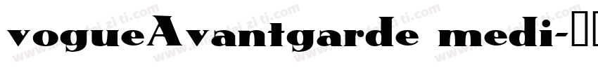 vogueAvantgarde medi字体转换
